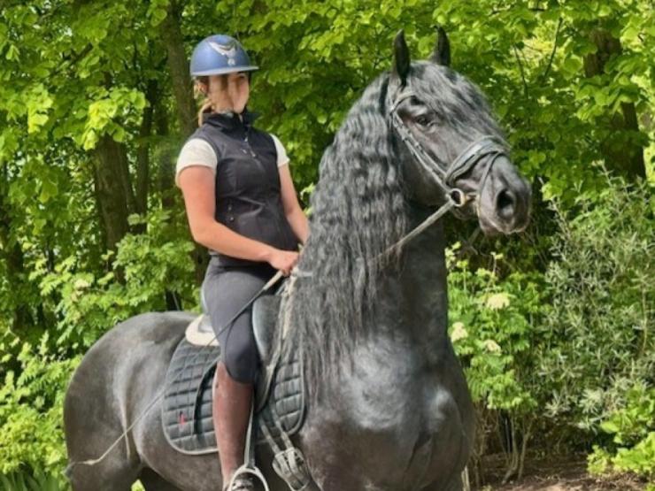 Gallery Photo of STERLING OBSIDEON - #9