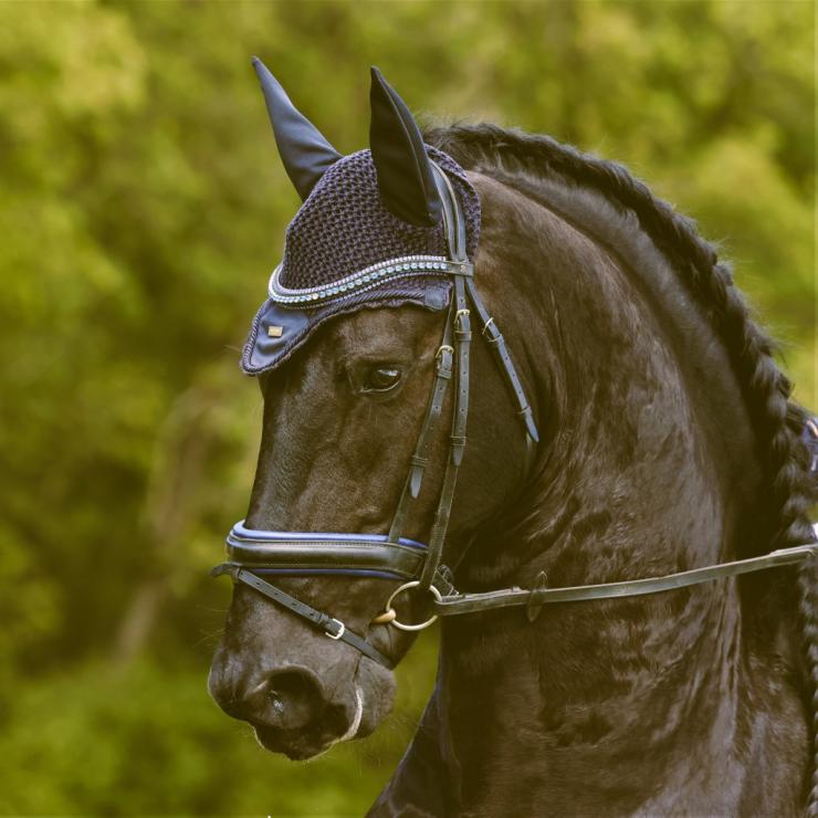 Gallery Photo of RONAN STER SPORT - #50
