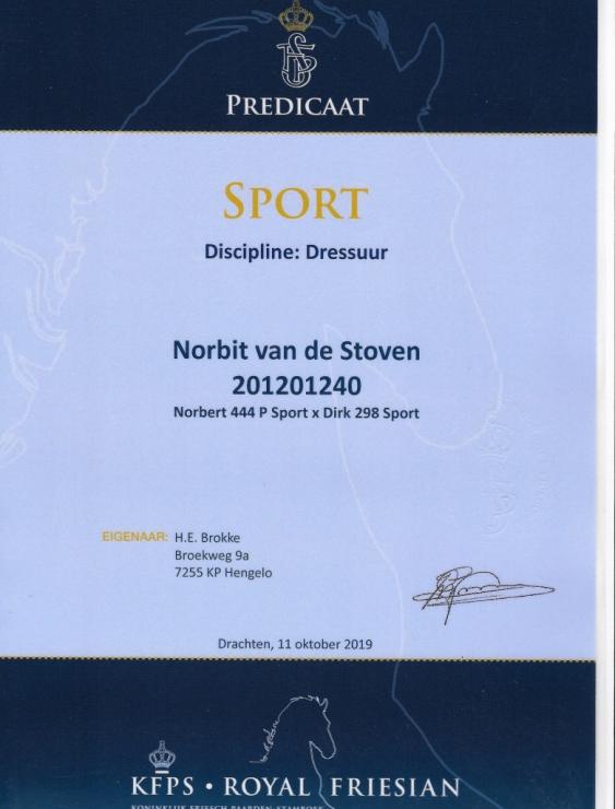 Gallery Photo of Norbit SPORT - #18