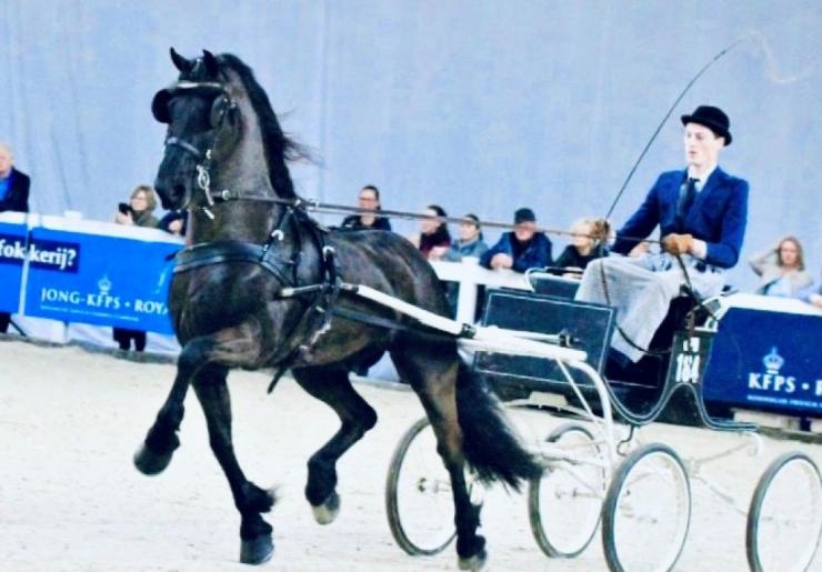 Gallery Photo of TEADE STER & SPORT - #2
