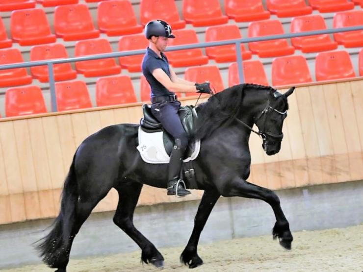 Gallery Photo of ARLO STER - #17