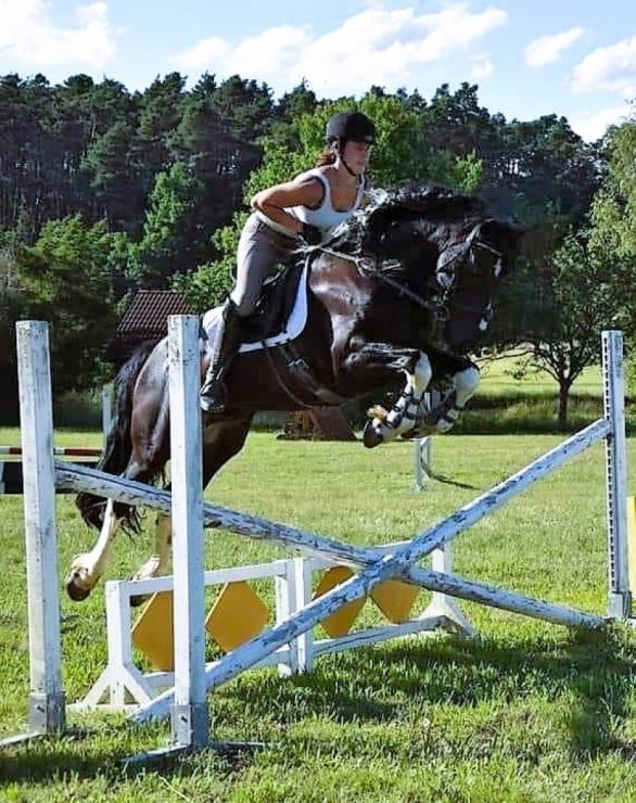 Gallery Photo of Bran  - #9