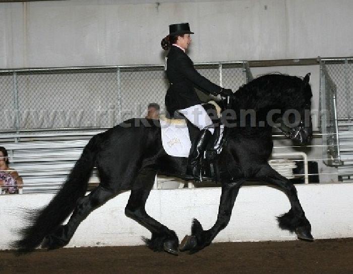 Gallery Photo of IFSHA Nationals 2007 - #21