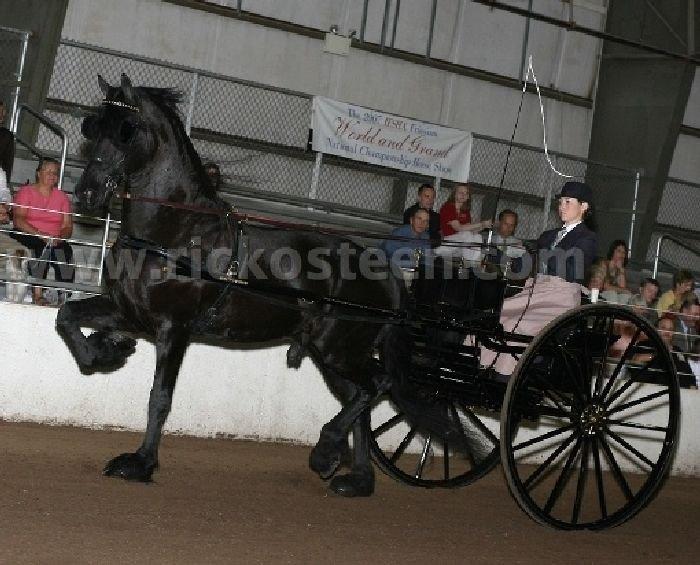 Gallery Photo of IFSHA Nationals 2007 - #5