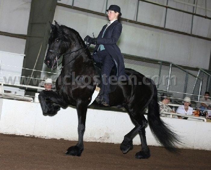 Gallery Photo of IFSHA Nationals 2007 - #4