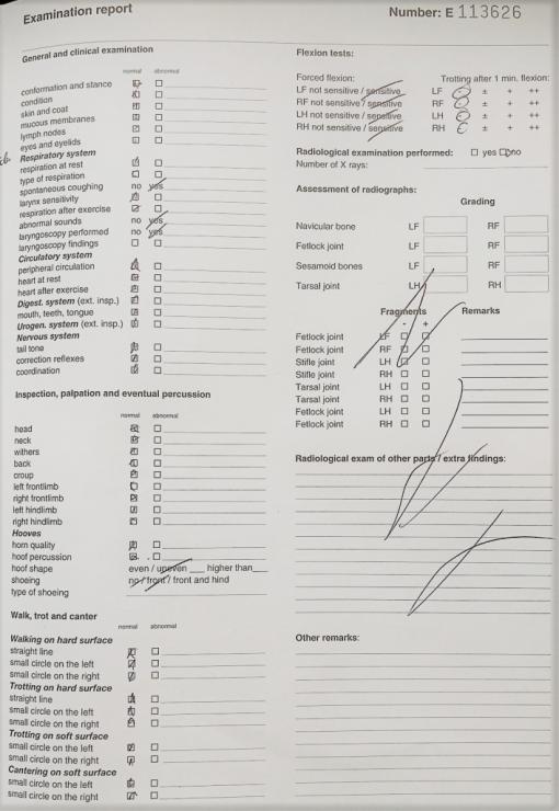 Gallery Photo of Dirk van Doorndraai STER - #22