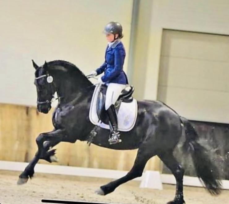 Gallery Photo of ESMERALDA - #3