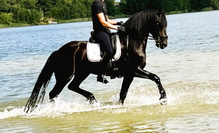 Gallery Photo of FALLON SPORT - #15