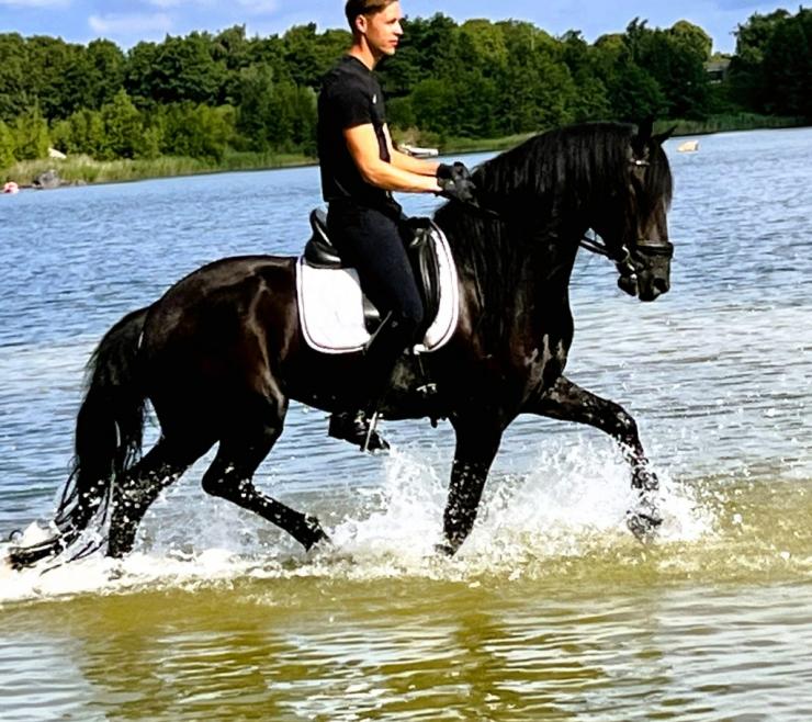 Gallery Photo of FALLON SPORT - #19