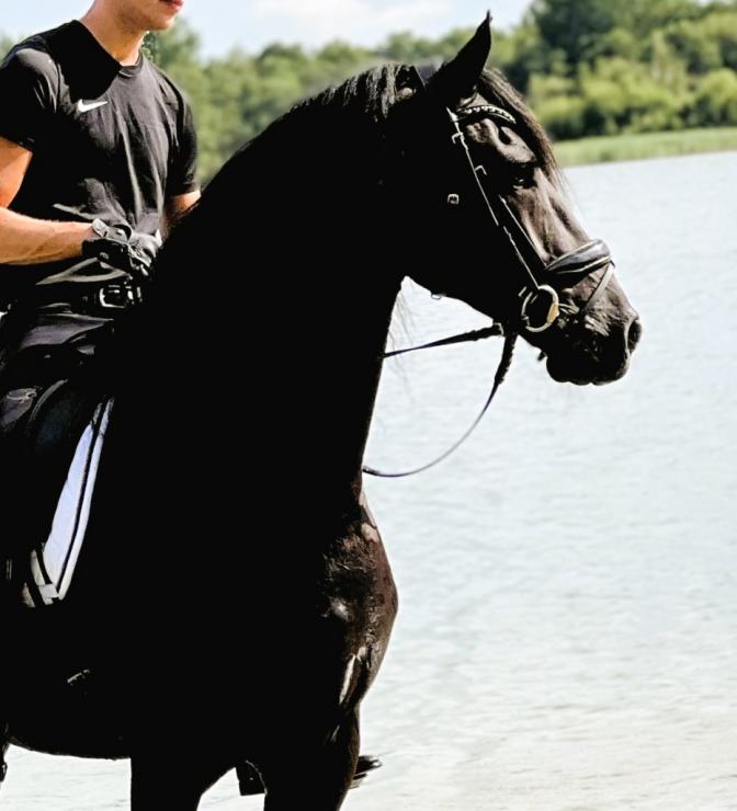 Gallery Photo of FALLON SPORT - #26