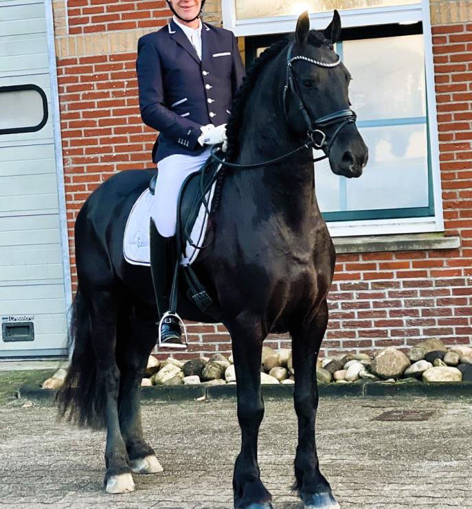 Gallery Photo of PORTENZO BSF - #6