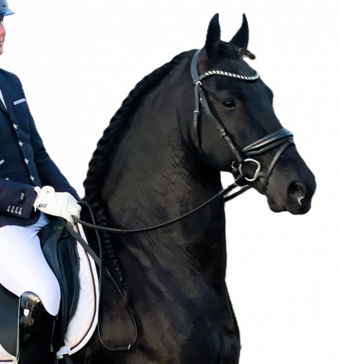 Gallery Photo of PORTENZO BSF - #14