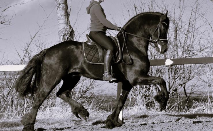 Gallery Photo of Edison - #15