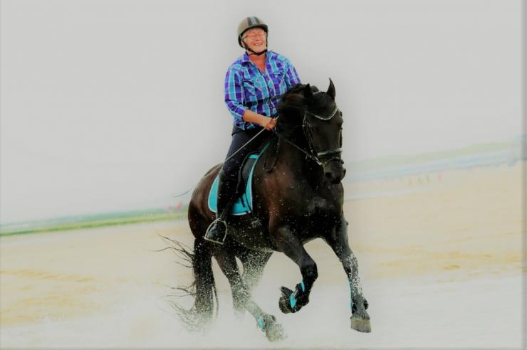 Gallery Photo of ENZO - #2