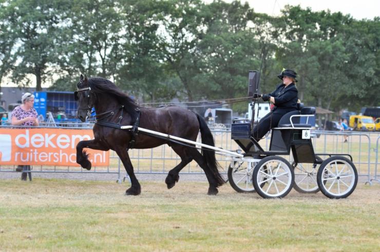 Gallery Photo of Edison - #12