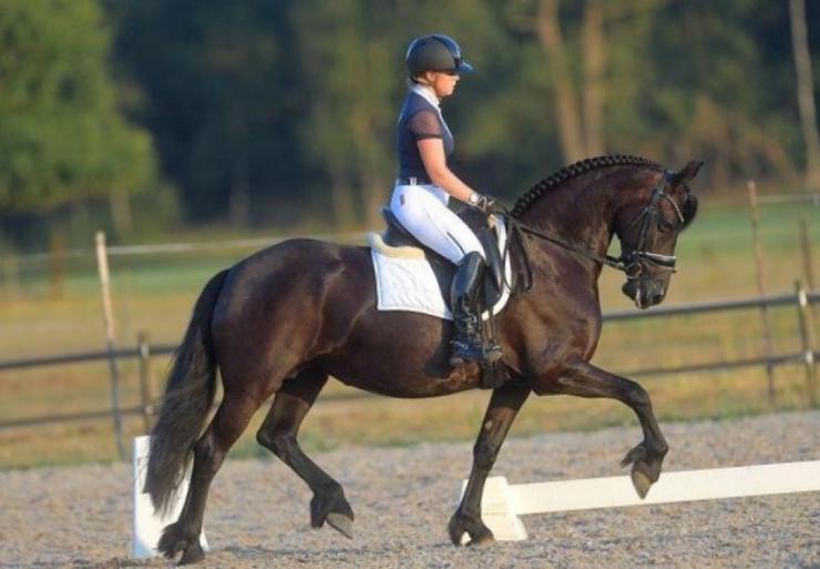 Gallery Photo of ESMERALDA - #22