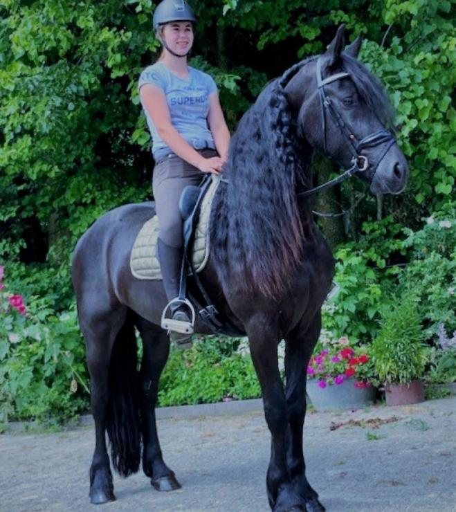 Gallery Photo of EMERALD STER - #13