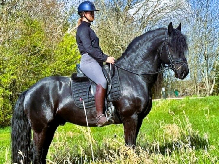 Gallery Photo of MARCO - #3