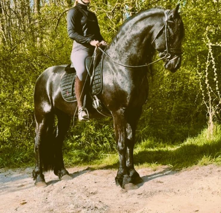 Gallery Photo of MARCO - #12