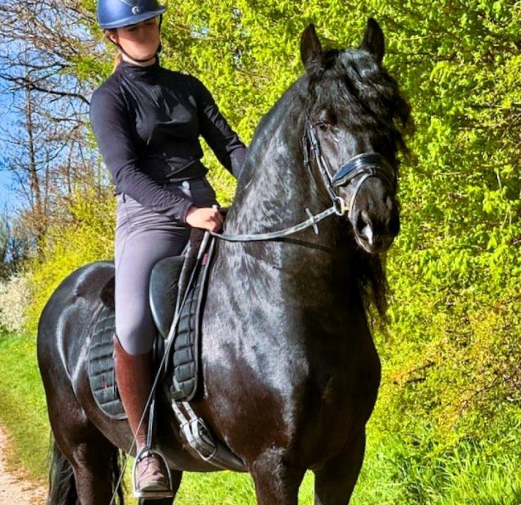 Gallery Photo of MARCO - #14