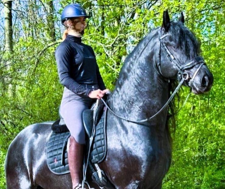 Gallery Photo of MARCO - #5