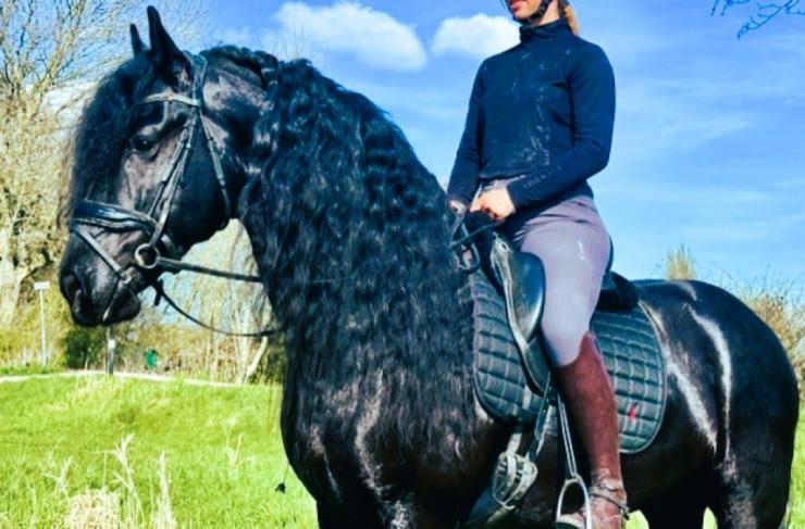 Gallery Photo of MARCO - #6