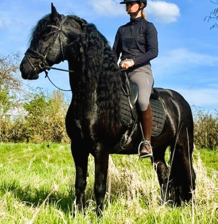 Gallery Photo of MARCO - #1