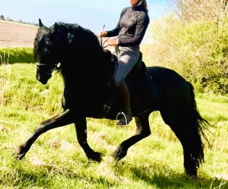 Gallery Photo of MARCO - #8