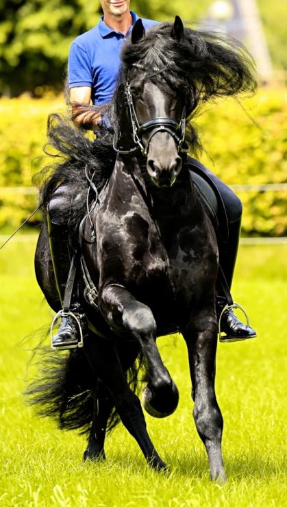 Gallery Photo of WINDSOR STER SPORT - #57