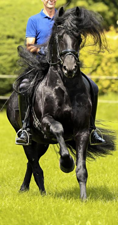 Gallery Photo of WINDSOR STER SPORT - #13