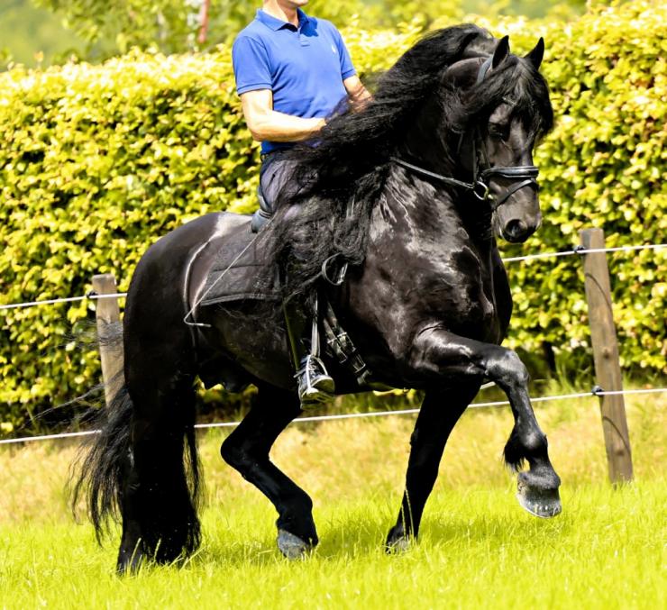 Gallery Photo of WINDSOR STER SPORT - #14