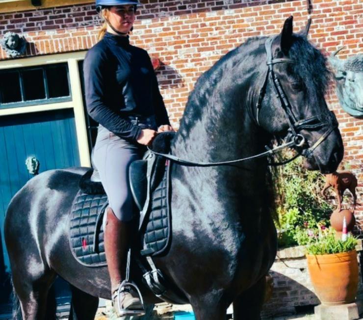 Gallery Photo of MARCO - #26