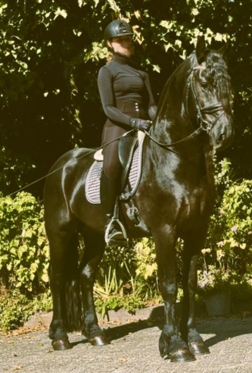 Gallery Photo of MARCO - #27