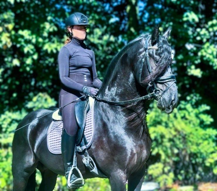 Gallery Photo of MARCO - #29