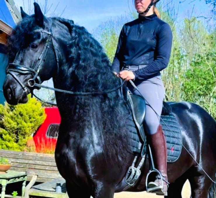 Gallery Photo of MARCO - #18