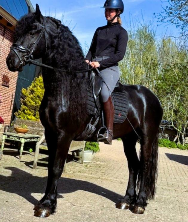 Gallery Photo of MARCO - #31