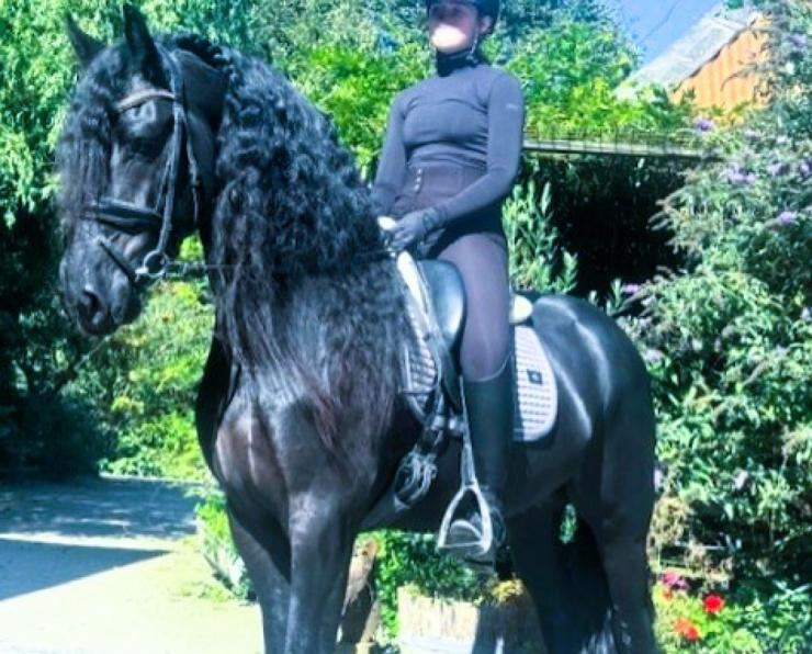 Gallery Photo of MARCO - #19