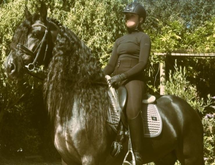 Gallery Photo of MARCO - #22