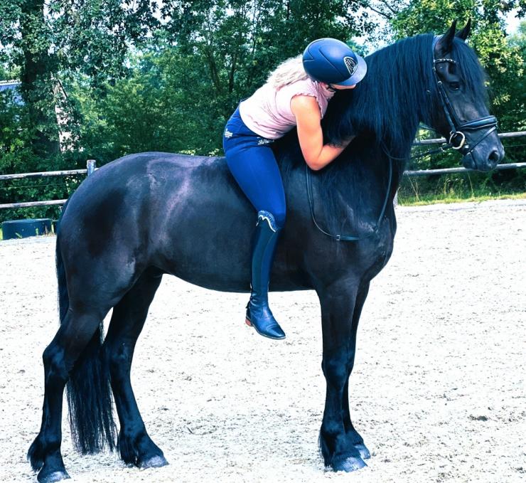 Gallery Photo of FALLON SPORT - #18