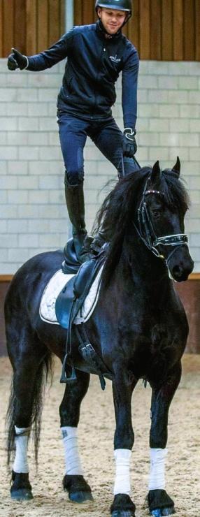 Gallery Photo of DAIRE STER - #26