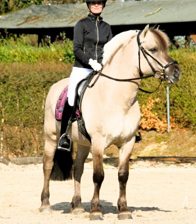 Gallery Photo of KING - #1