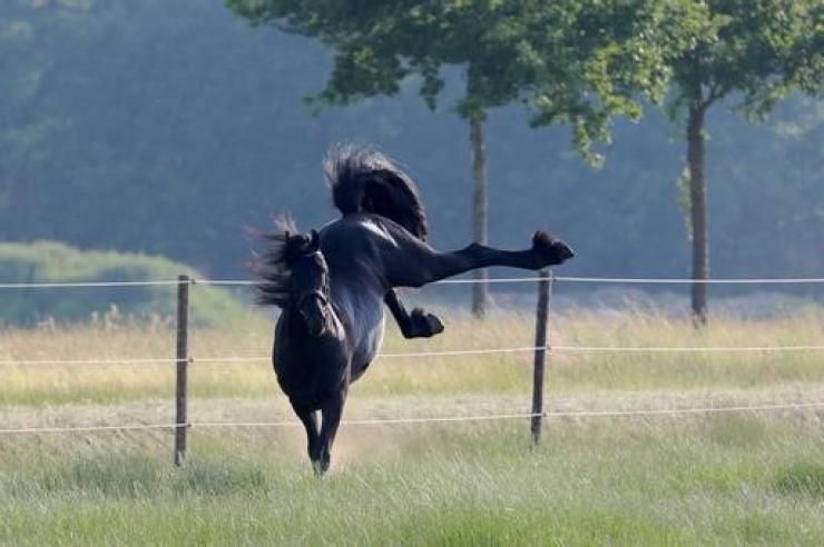 Gallery Photo of FLIP - #5