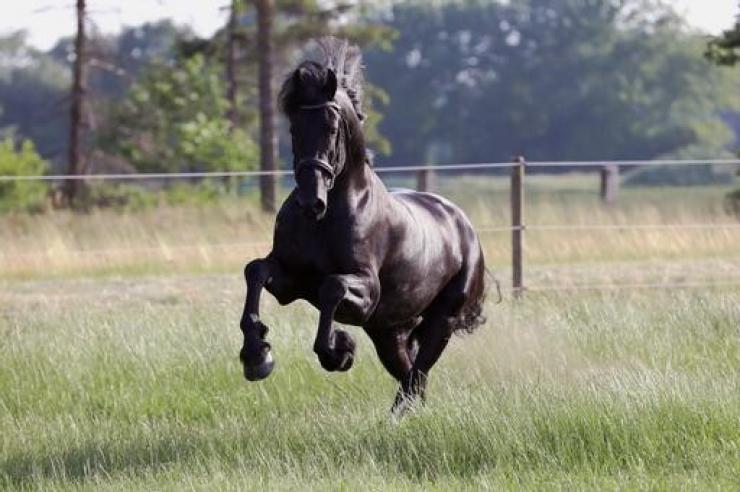 Gallery Photo of FLIP - #7