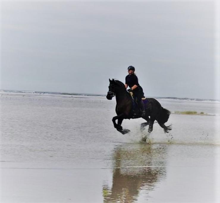 Gallery Photo of BRODIE - #1
