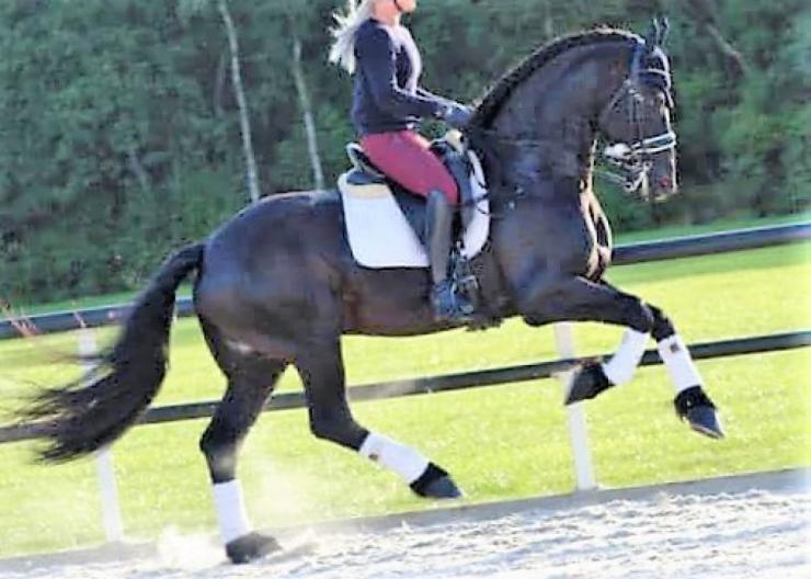 Gallery Photo of JORT O. STER & SPORT - #15