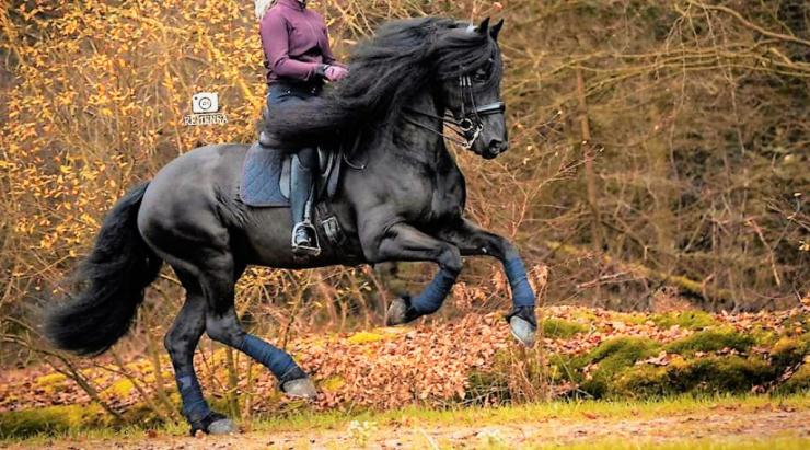 Gallery Photo of JORT O. STER & SPORT - #16