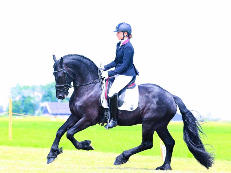 Gallery Photo of Hedzer-Auke - #23