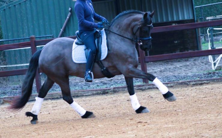 Gallery Photo of CARINA - #10