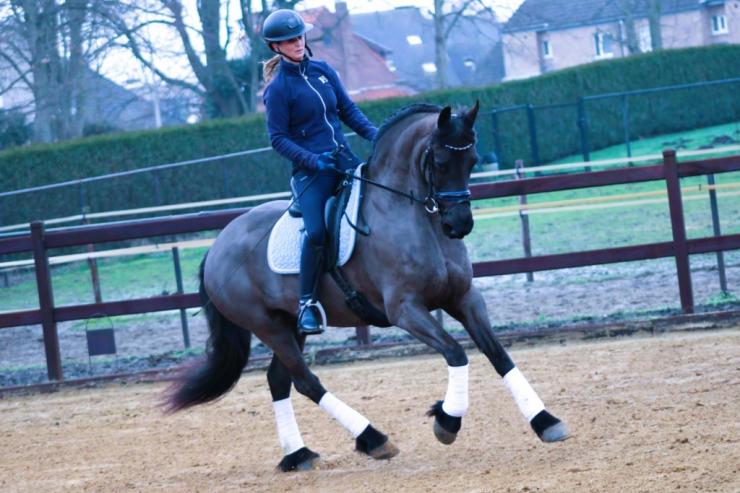Gallery Photo of CARINA - #11