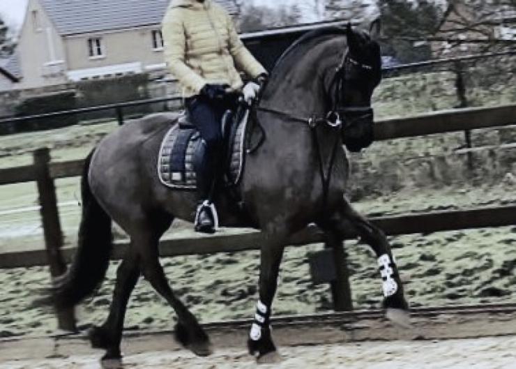 Gallery Photo of CARINA - #3